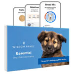 Wisdom Panel Essential: Most Accurate Dog DNA Test Kit for Breed ID and Ancestry
