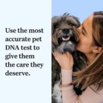 Wisdom Panel Essential: Most Accurate Dog DNA Test Kit for Breed ID and Ancestry - Image 2