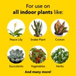 Miracle-Gro Indoor Plant Food (Liquid) - Image 2